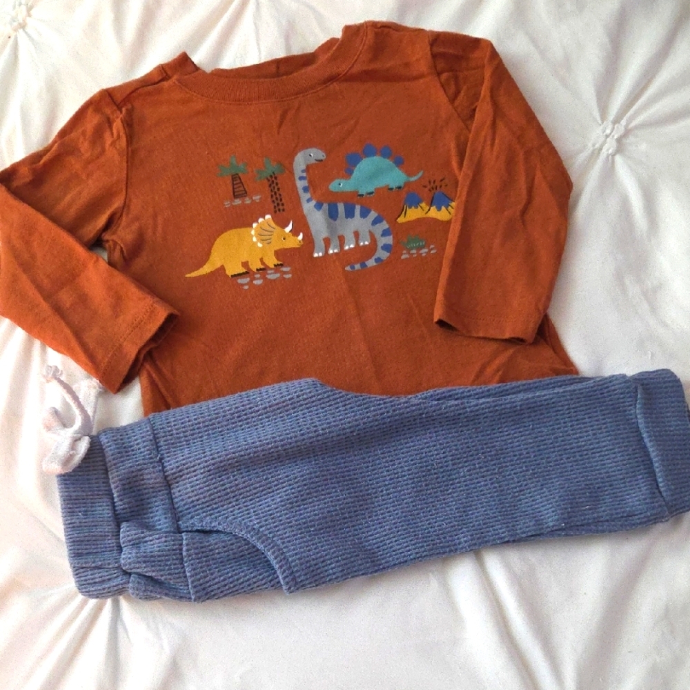Dinosaur Print Top and Blue Pants Set